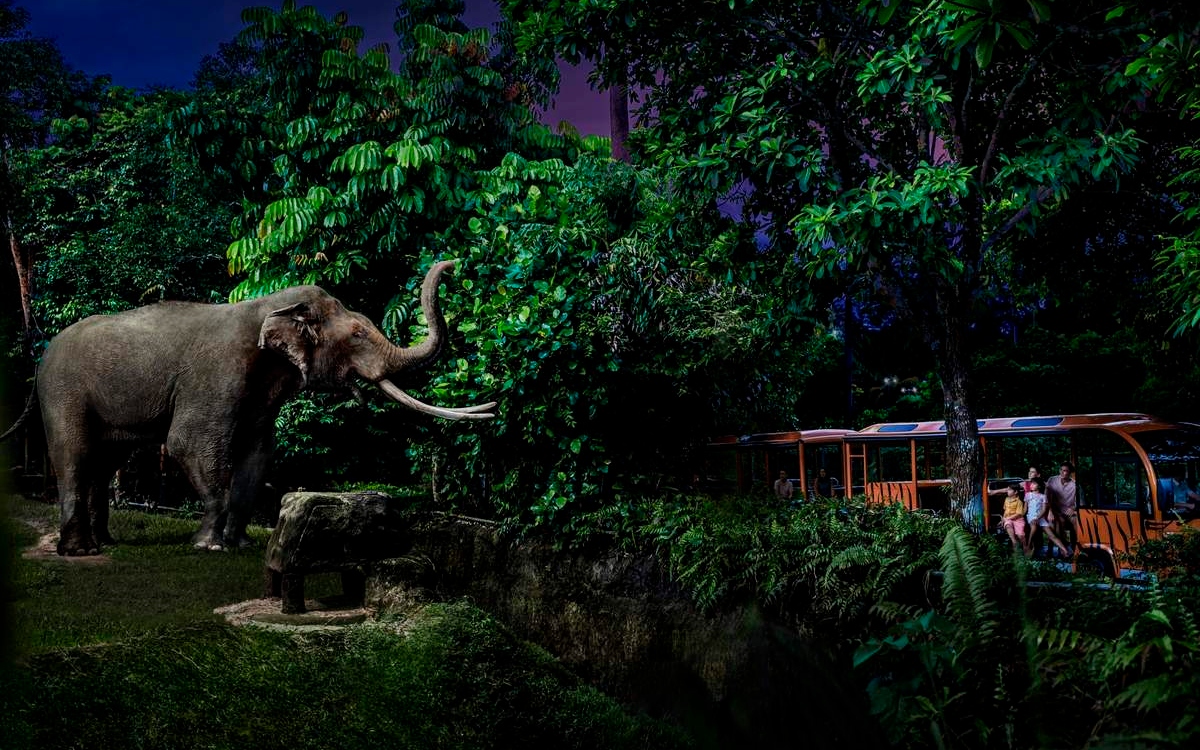 Fort Canning Park Singapore – Nature trails Walking trail at Fort Canning Park Singapore