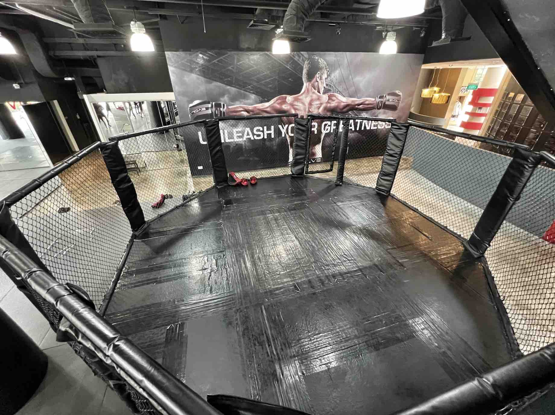 Evolve MMA Singapore training class with world champion instructors