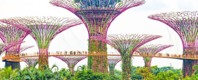 Singapore skyline and Gardens by the Bay at sunset — the iconic city backdrop for Evolve MMA fighters training abroad.
